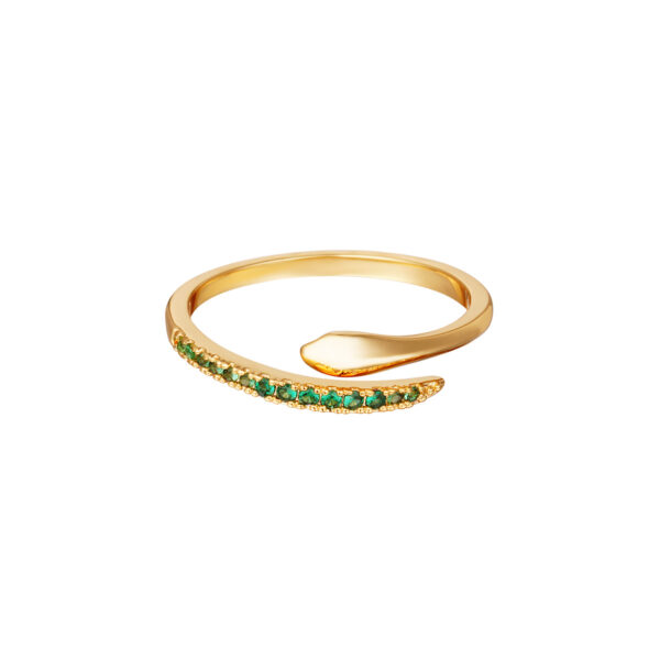 Ring Snake